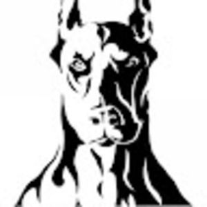 Meet your Posher, Julio